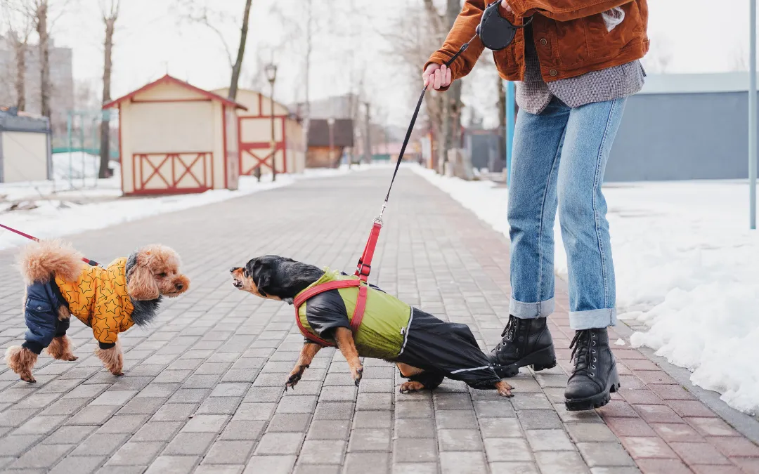 Seeking-Compensation-for-Dog-Bite-Injuries-in-Snellville